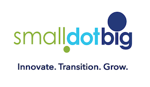 SDB logo innovate transition grow 300 175-1