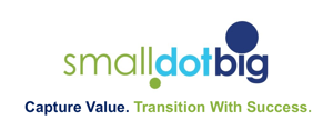 SmallDotBig logo. Create Value. Transition With Success.